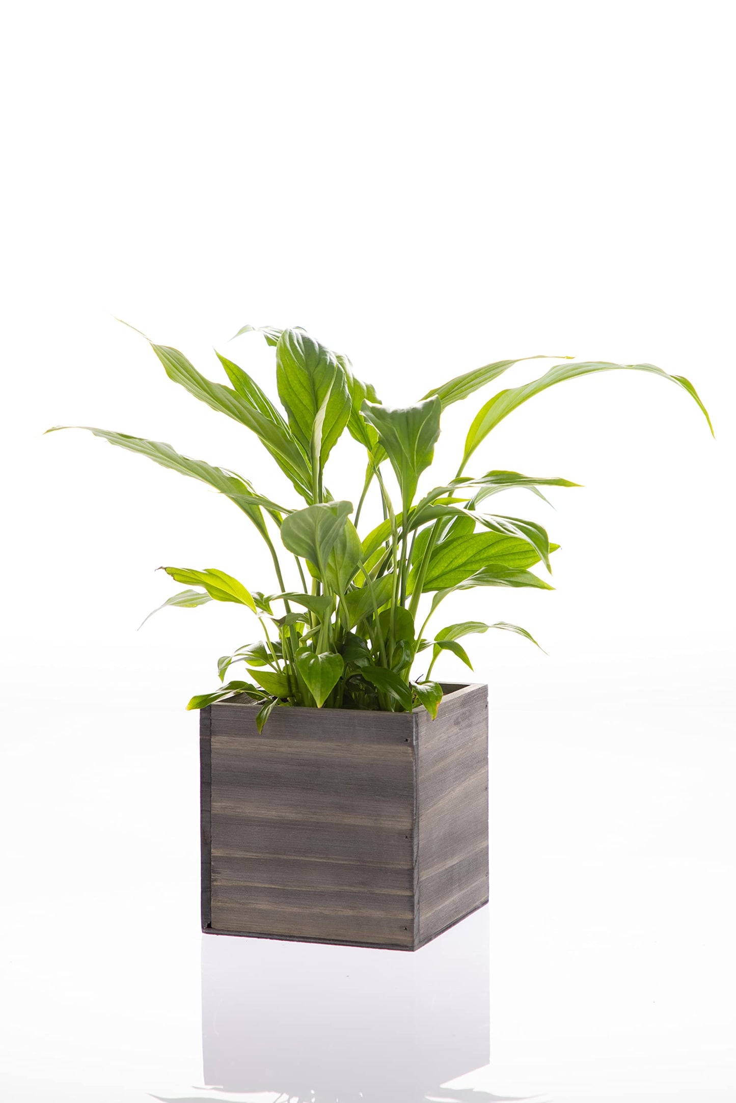 Wooden Planter Box, Rustic Barn Wood with Plastic Liner l Garden Decor l Restaurant and Wedding Decorations l Wedding Bouquets, Table Centerpiece (5x5 Set of 4, Natural)