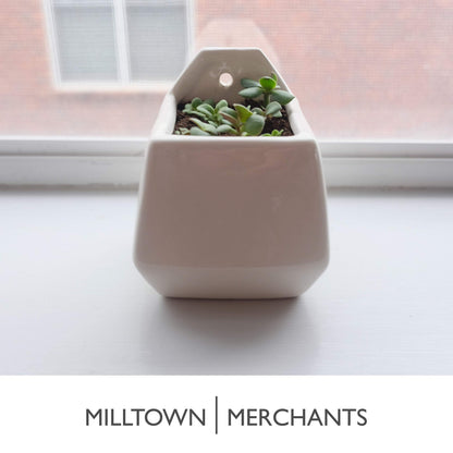 Milltown Merchants Succulent Wall Planters - Wall Vases - Black Ceramic Wall Mounted Planters - Succulent Plant Pots - Hanging Vases for Living Wall (2 Pack/Contemporary/White)