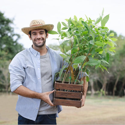 6 Pack Plant Support Plant Stakes for Indoor and Outdoor Plants, 44.8” Plant Sticks with Plant Clips Twist Tiers and Plant Tiers for House Potted Plants, Monstera Plant Support for Climbing Plants