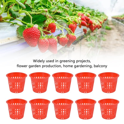 Hydroponic Baskets, 10PCS Plastic Hydroponic Cups, 3 3 in Red Soilless Root Fixer Containers Cups, Round Mesh Pot Net Basket for Garden Balcony Flowers Planting Cultivation