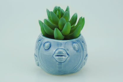 VanEnjoy 5" Ceramic Succulent Pot - Cute Ocean Blue Seashell Series, Conch Shaped Cactus Planter, Flower Pottery Bonsai (Seashell M)