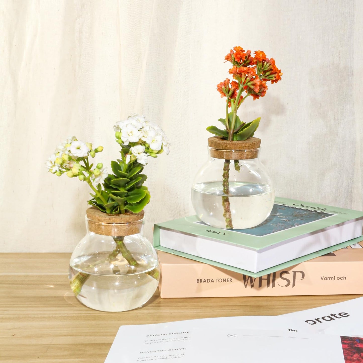 Plant Propagation Station,Hydroponic Terrarium Vase,Desktop Glass Planter Station,for Houses,Garden Decorations,ropagating Hydroponic Plants,Centerpiece Office,Home Garden Decor (4)