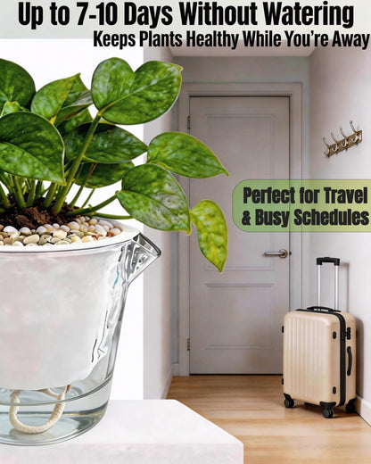 BovcTrraann 3-Pack Clear Self Watering Plant Pots, 5 Inch Clear Flower Pots with Drainage Holes, Tray and Rope, Plastic Self Watering Planters for Indoor Outdoor Garden Plants, African Violet, Herbs