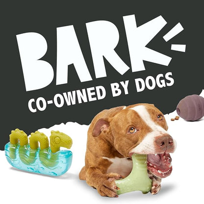 Barkbox Jelly Fetch Dog Toy for Medium Dogs – Perfect for Tug and Fetch Play, Durable Design with Strong Nylon Straps for Long-Lasting Fun