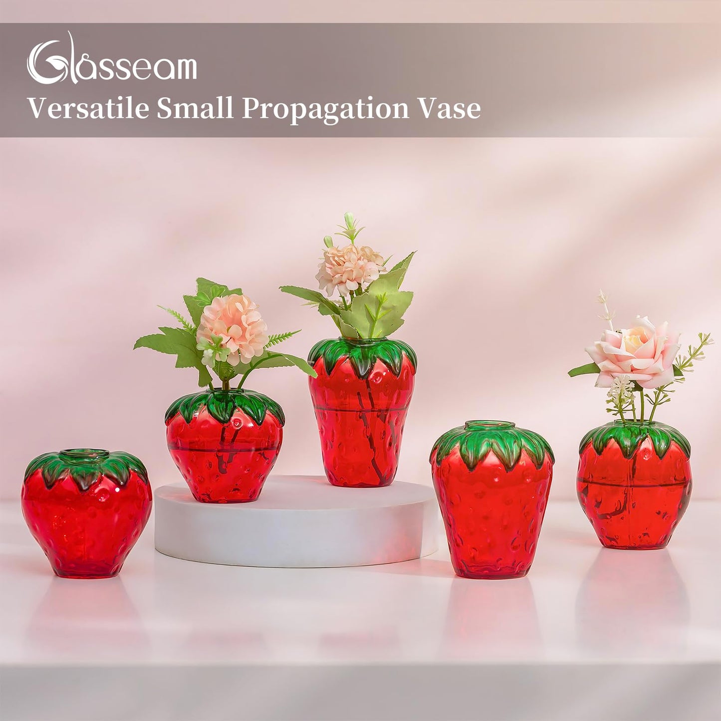 Glass Strawberry Propagation Vase Decor: Glasseam Cute mini vases Propagation Stations for Home - Unique 5Pcs Flower vase Set Terrarium Jar Gifts for Women Friends Mom Birthday Housewarming Holidays