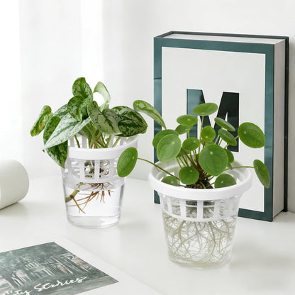 Teecyhooo 4 Set Window Propagation Stations Plastic Wall Hanging Planter with Suction Cups Clear Self Watering Window Mounted Plant Pots for Indoor Plants Bathroom Living Room Office Decor Gift
