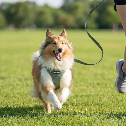 Best Pet Supplies Voyager Step-in Air All Weather Mesh Harness and Reflective Dog 5ft Leash Combo with Neoprene Handle, for Small, Medium and Large Breed Puppies - Moss Green, X-Small