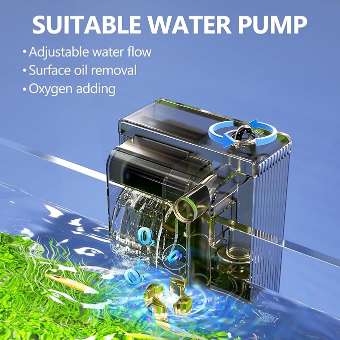 5 Gallon Fish Tank Aquarium Kit with HOB Filter, LED Light with Timer, Lid, Siphon Vacuum Cleaner, Self Cleaning Glass Rimless Betta Tank