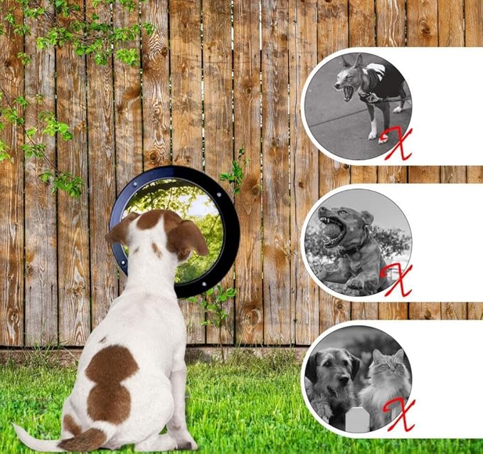 Clear Acrylic Dome, Dog Fence Window with Air Holes,Playground Clear Pet Dome View,Dog Bubble Peek Window, Inside Length 11.8 Inch and Deep 4.5inch（1 Pack）