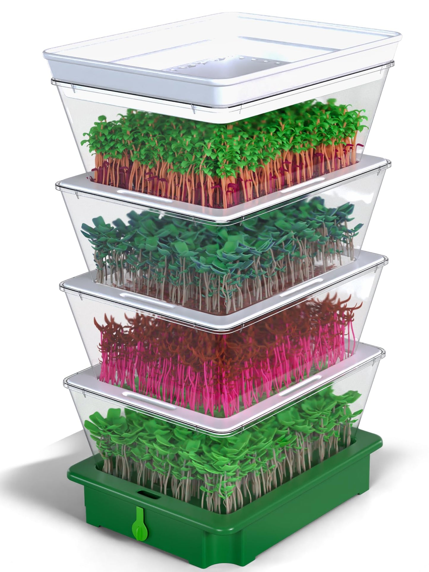 ZESTIGREENS 4-Tier Sprouting Kit - Stackable Seed Sprouter Trays with Drain Spout - Grow Fresh Sprouts at Home - BPA-Free