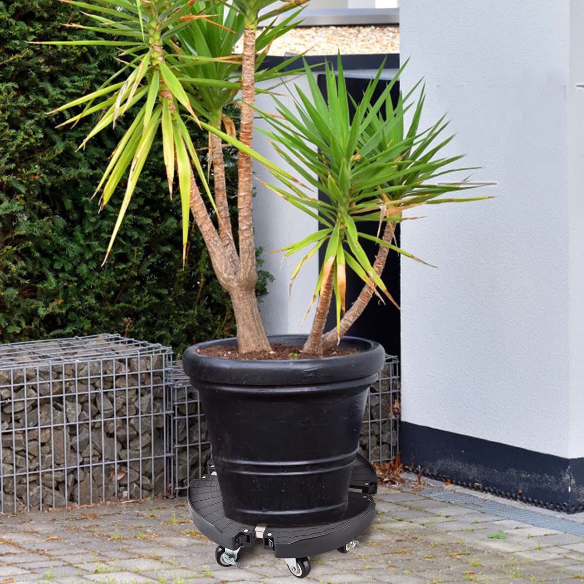 TreeGun Plant Caddy with Wheels Heavy Duty with 8 Lockable Casters, Rolling Plant Stand Adjustable for 8 inch-22 inch Outdoor Indoor Large Plant, Plant Dolly with Wheels Heavy Duty 500lbs Capacity
