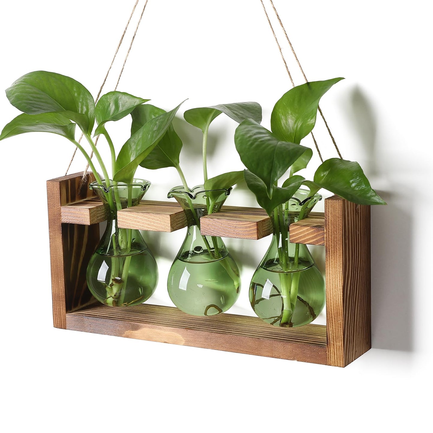 Plant Propagation Station Plant Terrarium Unique Birthday Gifts for Women Home Office Decor Planter with Wooden Stand - 3 Bulb Glass Vase