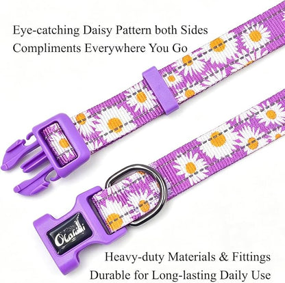 Dog Collar Leash Set, Floral Pattern, with Safety Reflective Strips, 5 ft Matching Leash, Neoprene Padded Handle, Adjustable 4 Sizes for Small Medium Large Dogs.(M, Purple Daisy)