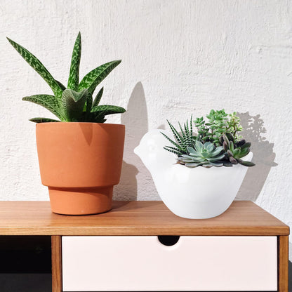 TIDTALEO Ceramic Flowerpot with Creative Bird Design Decorative Planter for Succulents Indoor Outdoor Garden Use White Animal-Shaped Container for Home Office Decor