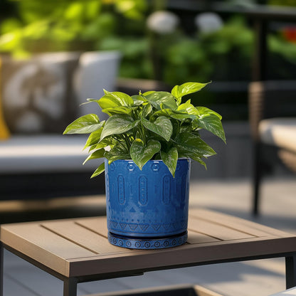 Eightpot 6 Inch Plant Pot - Ceramic Planter for Outdoor Plants Indoor Plant Pot with Drainage Holes and Saucer Succulent Pot Modern Round Flower Pot for House Room Decor Blue