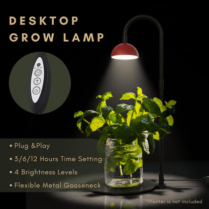 BoostGro Desktop Grow Lamp Terrarium Light Plant Light on Table with Flexible Gooseneck Lamp for Terrarium Kitchen Vetegable Succulent Lamp with Auto Timer 3/6/12Hrs, 4 Brightness Levels (Red)