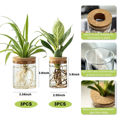 Plant Propagation Station,Hydroponic Glass Container Vase 2 Sizes Planter Propagated Jars for Desks, Houses, Garden Decorations,Home Kitchen Decorations and Gifts cu.20.5 (6pcs)