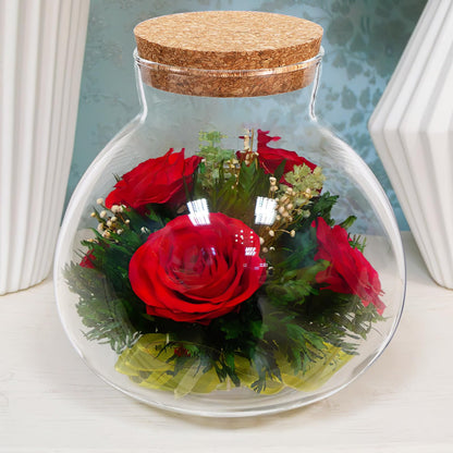 SEWACC Glass Terrarium Jar with Cork Lid, 6 Inch Round DIY Microlandscape Bottle for Plant Terrarium Decor and Airtight Storage, Home Office Kitchen Use