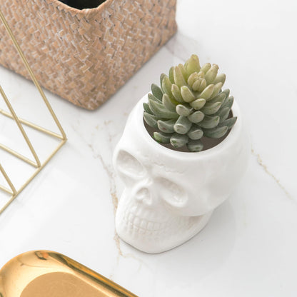 Tanvecle Skull Planter Pots, Skeleton Vase for Succulent, Flowers, Gothic Centerpiece for Table, Punk Home Decor and Accessories, Halloween and Day of The Dead Decorations - White