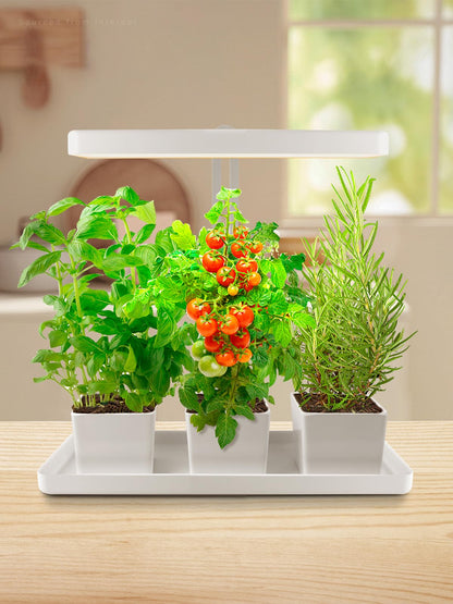 TORCHSTAR Indoor Herb Garden with LED Grow Light, Height Adjustable, 20W Growing System with Automatic Timer, CRI 95+, Full Spectrum Plant Light for Seeds, Vegetation, Home, White, No Pots or Plants