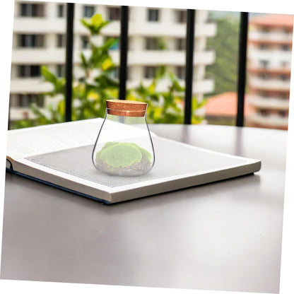 HOMSFOU Plant Propagation Station Terrarium Glass Planter Vase with Cork Clear Plant Holder Flower Jars Hydroponics Air Planter Holder Candy Jar for Home Office