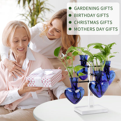 YYHglass Clear Plants Propagation Stations Terrarium Kit Birthday Gift for Women for Indoor Home Office Decor Acrylic Plant Accessories - 4 Love Hear Vase