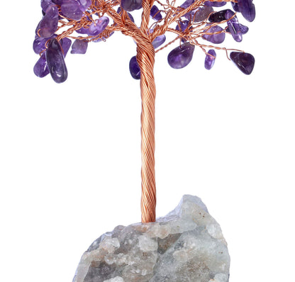 Jovivi Natural Amethyst Crystal Tree, Raw Healing Crystals Fluorite Base Bonsai Money Tree for Home Office Table Decor Wealth and Luck