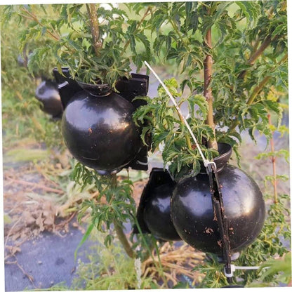Weicoca 5Pcs Black Plant Rooting Device -Air Layering Pods - High-Pressure Propagation Ball Rooter Box for Garden -Reusable Plant Rooting Device Plant Rooting Grow Box