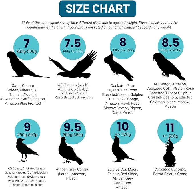 FLYPER Adjustable Mini Bird Diaper | Reusable, Washable Cloth | Comfort Fit for Parrots, Cockatiels, and Other Small Birds | Fashionable Avian Accessories Size 8.5