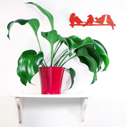 DECOPOTS Pot for Plants | 7.7 Inch | Self Watering Red Plant Planter | Indoor Flower Pot | Plastic Flower Pots with Drainage for All House Plants, Flowers (Diameter 7.7", Menthol - White)