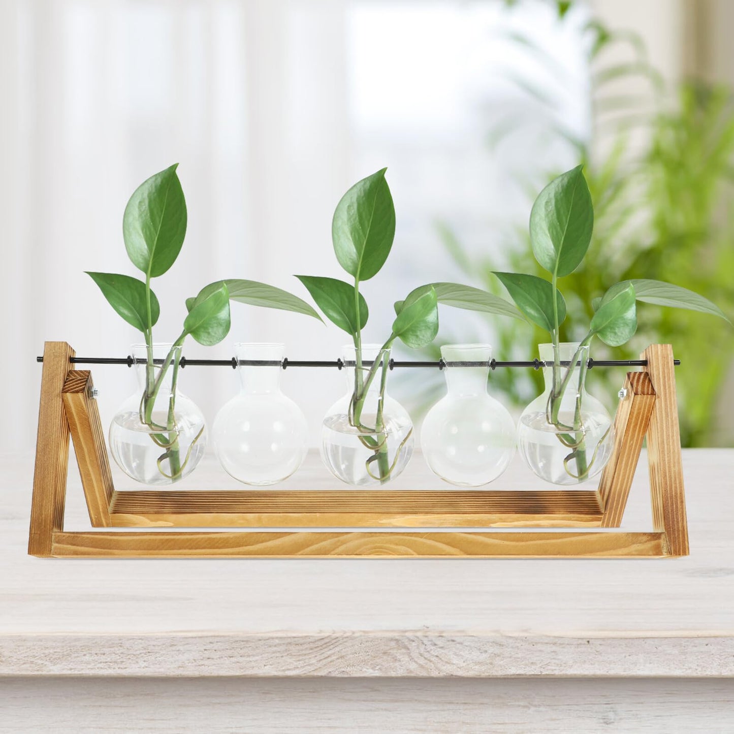 Yardenfun Propagation Station Glass Vases Set of 5 with Wood Stand, Small Hydroponic Plant Terrarium for Indoor Home Décor and Desk Display