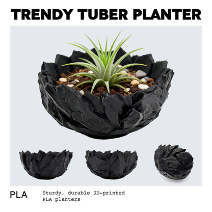 Dak Haan Succulent Pot with Drainage – Indoor Plant Pots, Artistic Design Flower Pots,Personalized Custom Mothers Day Plant Pot, Shallow Succulents Pots Bowls for Home, Office, Weddings & Party Décor