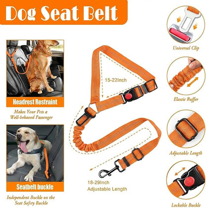 LOBEVE No Pull Dog Harness, Collar & Leash Set | Includes Dog Seat Belt, Collapsible Bowls & Poop Bag Dispenser. Ideal for Training, Walking, Hiking. Fits Small to Large Dogs(Orange-XL)