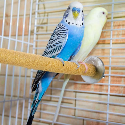 10 Pieces Bird Perch Stand Parrot Stand Paw Grinding Stick Parrot Perch Rough Surfaced Bird Cage Stand Colorful Wooden Parakeet Perch Toys for Cockatiels Cage Accessories