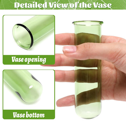 Glass Plant Propagation Station with 5 Test Tubes Colorful Planter Vase Birthday Gifts for Women in Wooden Stand