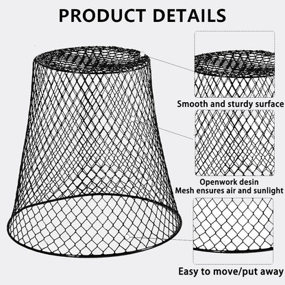 Airsnigi 24Pcs Chicken Wire Plant Cover,9x9 inch Garden Cloches Black Metal Chicken Wire Cloches Plant Protector Cover for Keeping Bunnies Rabbits Chickens Birds Squirrels Small Animals Out