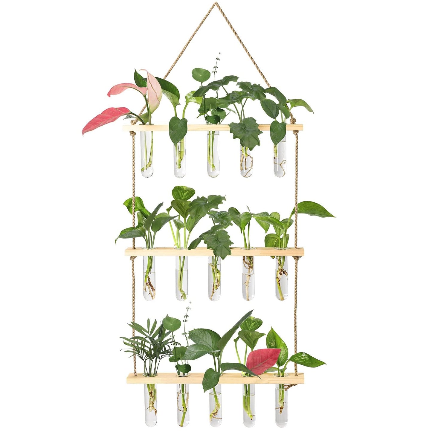 XXXFLOWER Watering Can+Wall Hanging Propagation Station