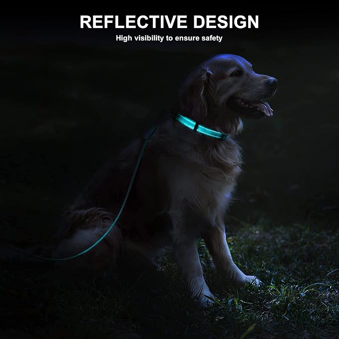 Durable Reflective Dog Collar and Leash Set with Double Layer Nylon, Soft Neoprene Padded Dog Collar with 5ft Strong Pet Leash Easy for Medium Large Dogs Walking,Teal,Neck fit 14.0-23.5’’
