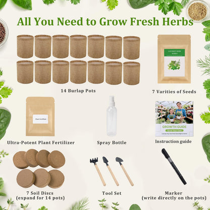 Herb Indoor Window Garden Kit - House Plants Seeds - Best Unique Christmas Gift Ideas for Women, Friend, Birthday, Housewarming, Mother, Beginner DIY Craft & Hobby Gardening Gift for Plant Lovers