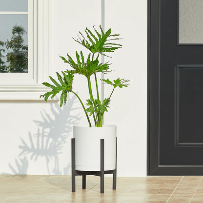 FaithLand 10-Inch Modern Cylinder Planter, Thick-Walled Plastic Plant Pot with Drainage Holes and Detachable Saucer, Matte White, Ideal for Indoor & Outdoor Plants Flowers