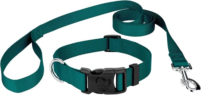 Country Brook Petz - Everyday Nylon Dog Collar and Leash - 10+ Cool Colors (3/8 Inch, 2XS, Teal)