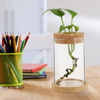 LOORGVEL 2pcs Hydroponics Plant Terrarium Glass Vases with Stand 6.5x10cm Desktop Water Planting Container for Office Home Decoration
