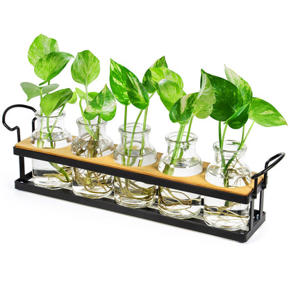 THYGIFTREE Plant Propagation Stations with Metal Stand, Tabletop Plant Terrarium for Propagating Hydroponic, Retro Glass Planter Flower Vase Home Kitchen Office Decor Gifts, 5 Jars