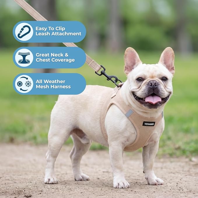 Best Pet Supplies Voyager Step-in Air All Weather Mesh Harness and Reflective Dog 5ft Leash Combo with Neoprene Handle, for Small, Medium and Large Breed Puppies - Khaki, XS