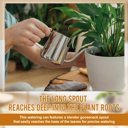 Teecyhooo 2 Pcs Small Watering Can for Indoor Plants, 12 Oz/350 ml Mini Plant Watering Pot with Long Spout and Scale 304 Stainless Steel Tiny Watering-can for Outdoor Indoor Plants Garden(Sliver)