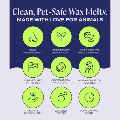 Companion Candles Nostalgia Pet-Friendly Wax Melt – Spicy Amber & Sweet Floral Fragrance - Coconut Soy Wax, Long-Lasting Scent, Made in USA, 3 oz