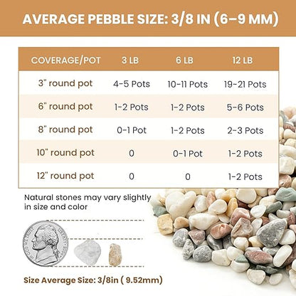 3/8 Inch Polished Decorative Pebbles, River Rocks for Indoor Plants, Succulents, Planters, Vases, Fish Tank, Aquarium Gravel & Landscaping, Mixed Color, 12LB
