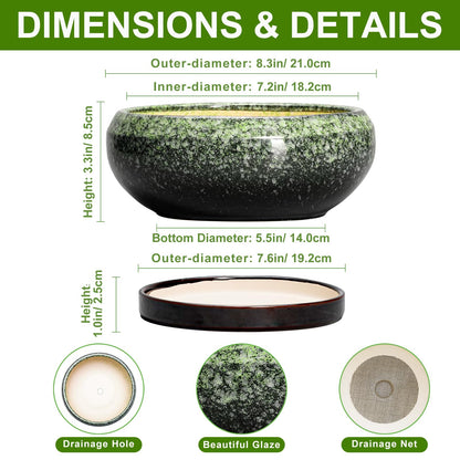 EPFamily Bonsai Pots 8 Inch - Ceramic Succulent Pots with Drainage Hole and Saucer, Shallow Plant Pot for Indoor Outdoor, Bonsai Tree Pots, Round Planter Bowl, Home Decor, Gift for Plant Lover, Green
