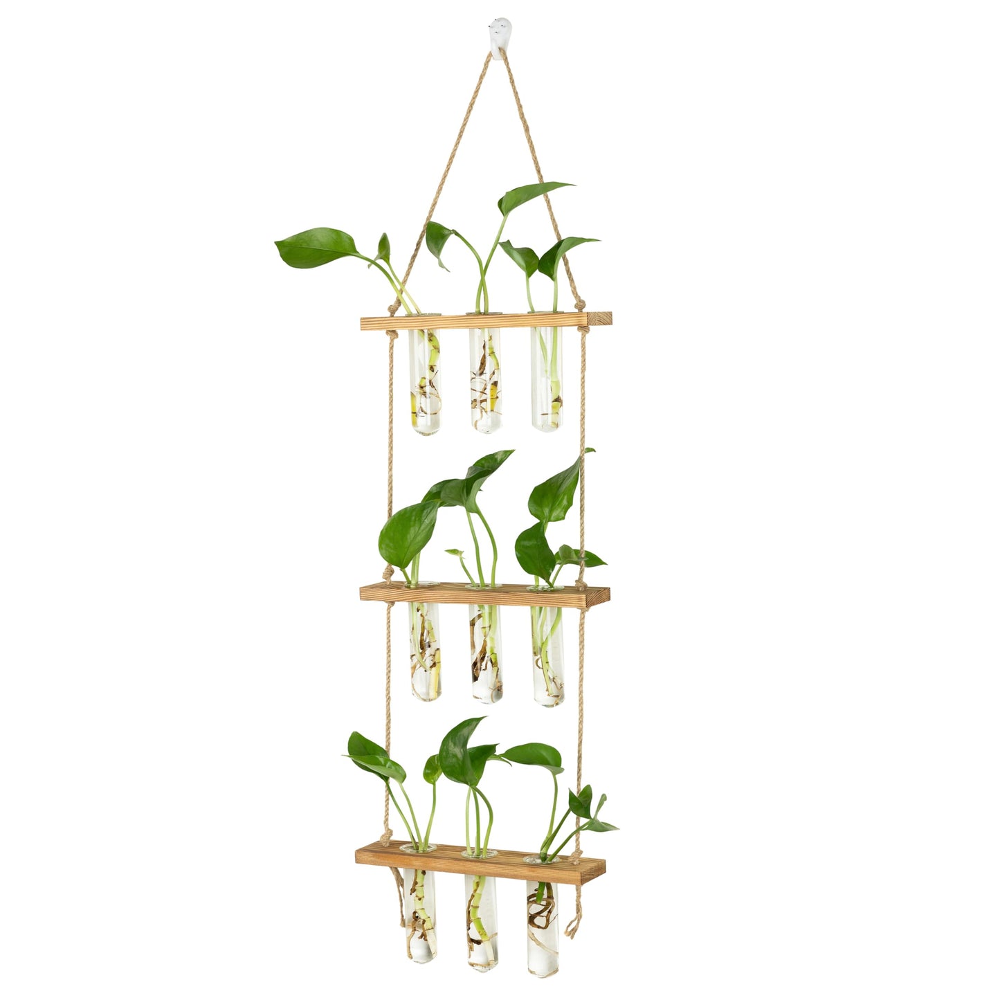 Hyindoor Wall Hanging Propagation Stations 3 Tired Wall Planter Terrarium with Wooden Stand and Glass Test Tubes Plant Hanger Flower Vase for Home Office Wall Decor Hydroponic Cuttings