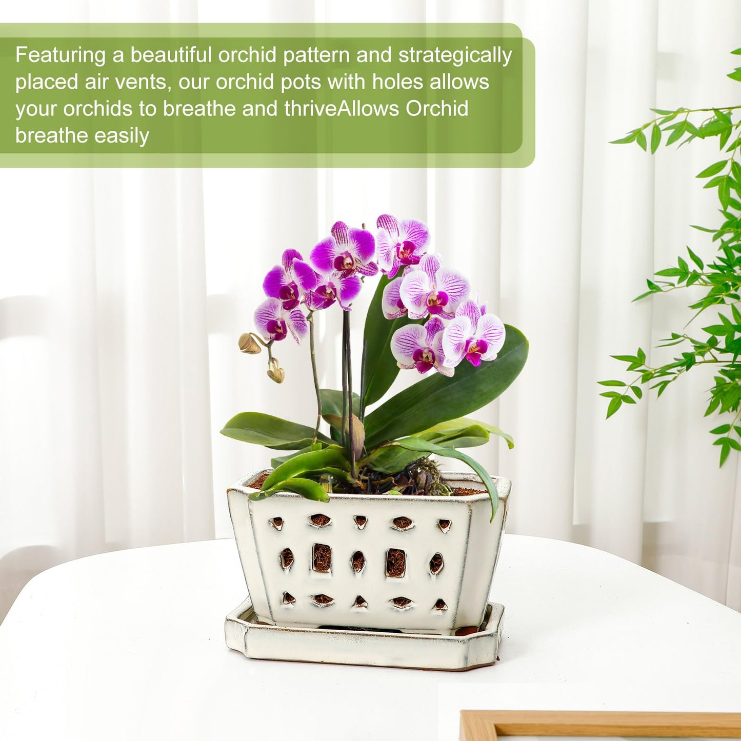 Teenyyou 1 Set Orchid Pot with Holes 7 Inch Ceramic Orchid Pot with Saucers for Repotting Amaryllis Flower Planter Include Gardening Shovel Set and Gloves for Home Decor(White)